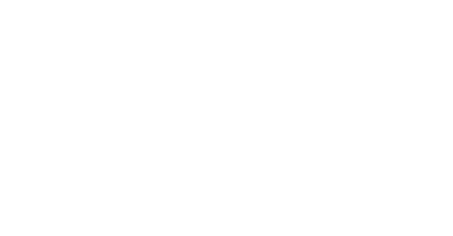 DNZ Studio